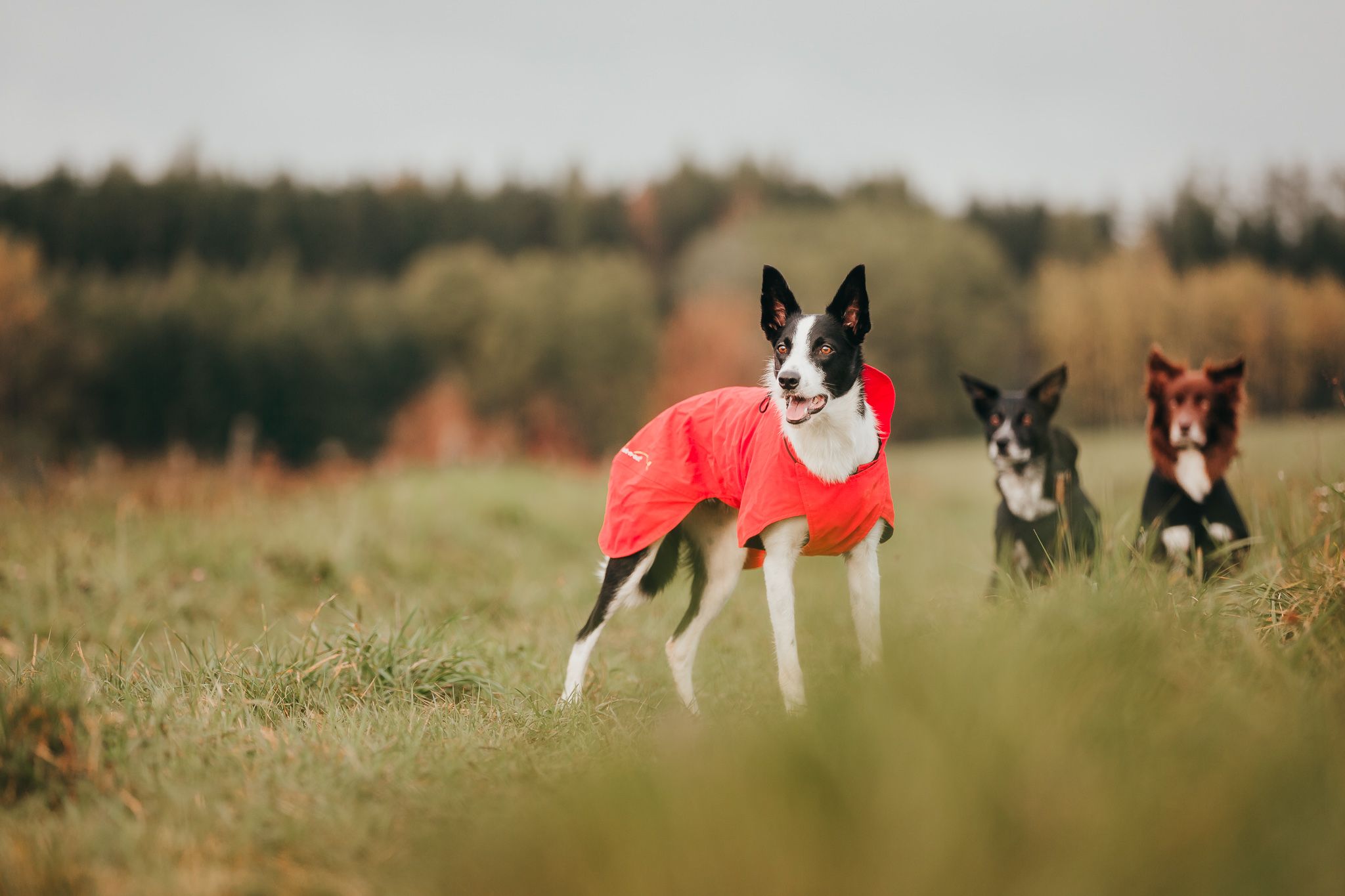 High in her raincoat