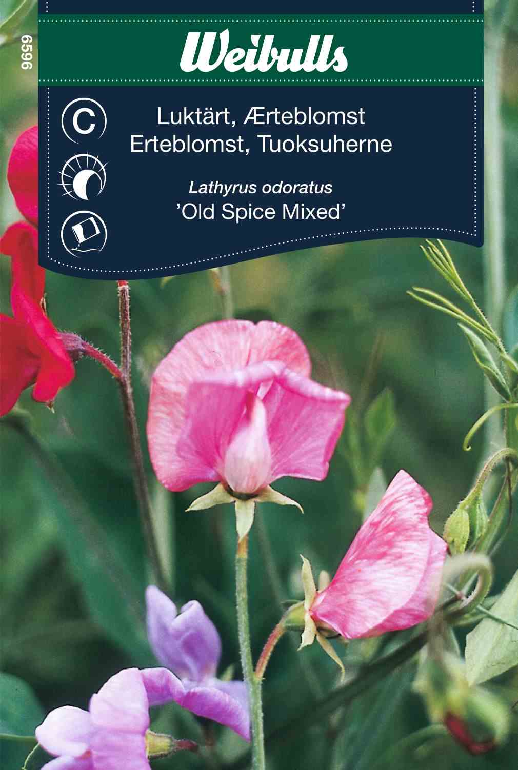 Luktärt Old spice mix in der Gruppe bei GPLSHOP (6596)