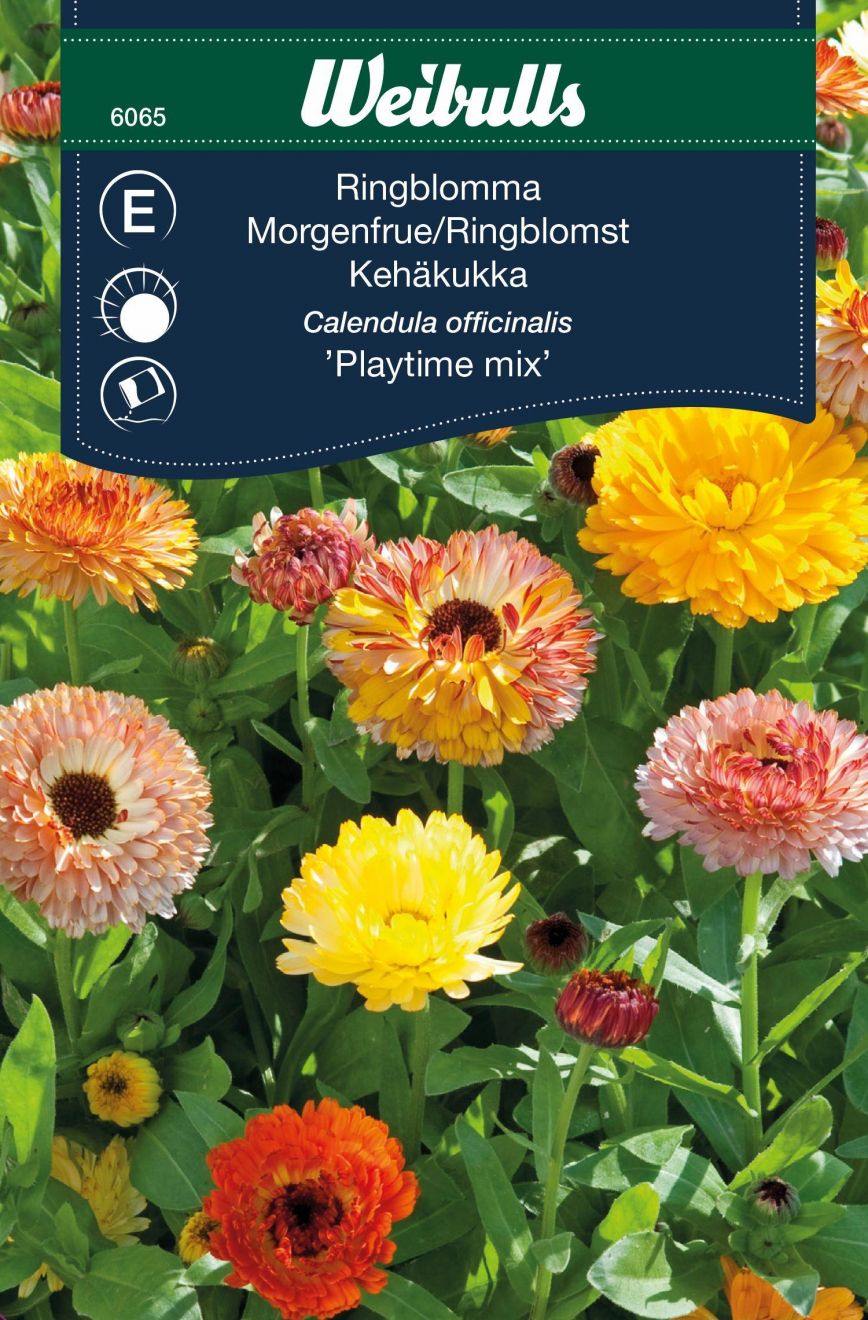 Marigold Playtime mix in the group  at GPLSHOP (6065)