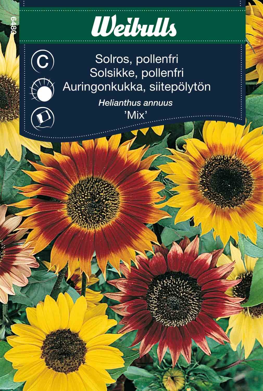 Sunflower pollen-free mix in the group  at Motorsågsbutiken (6480)