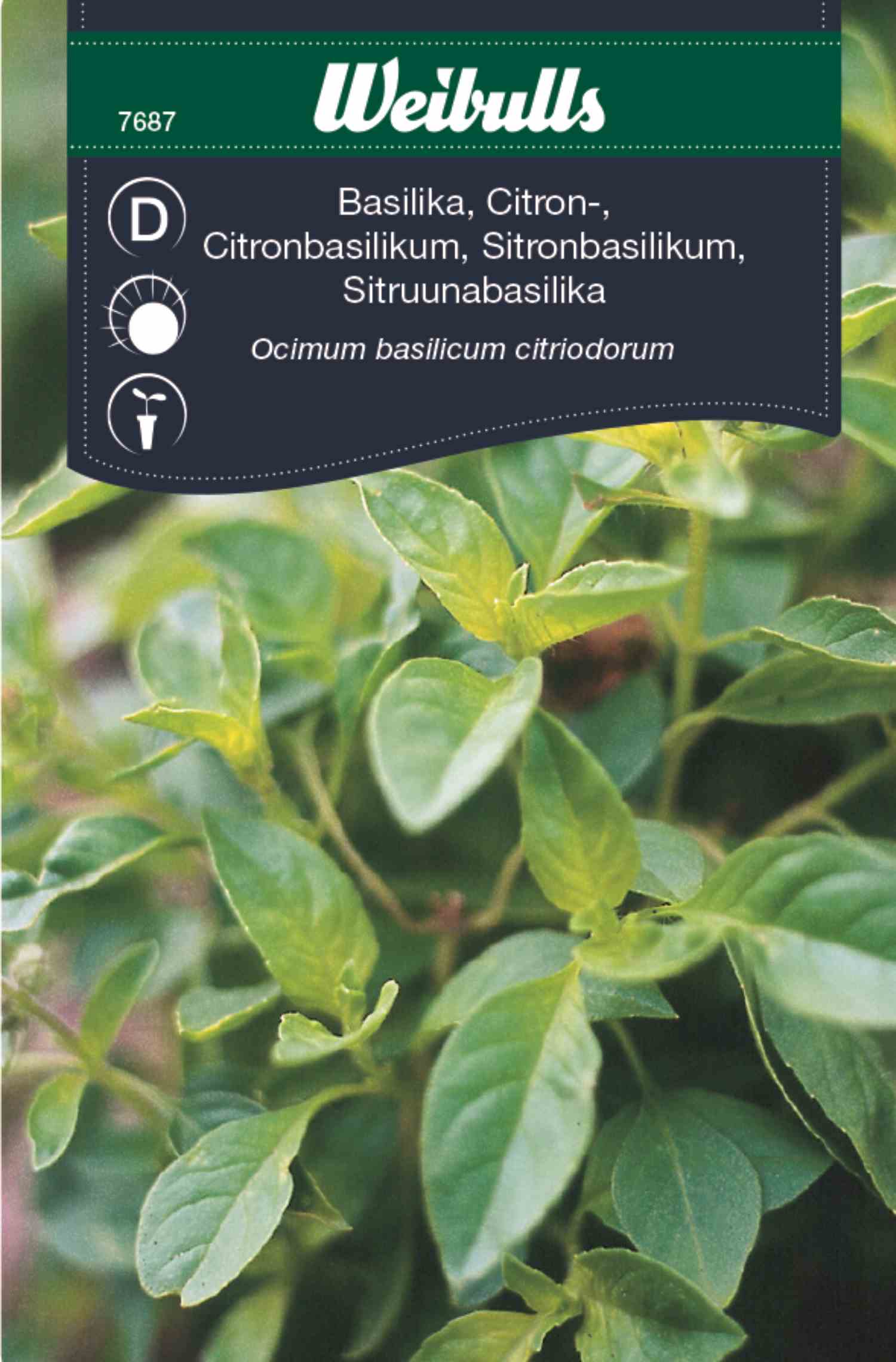 Basil, lemon in der Gruppe  bei GPLSHOP (7687)