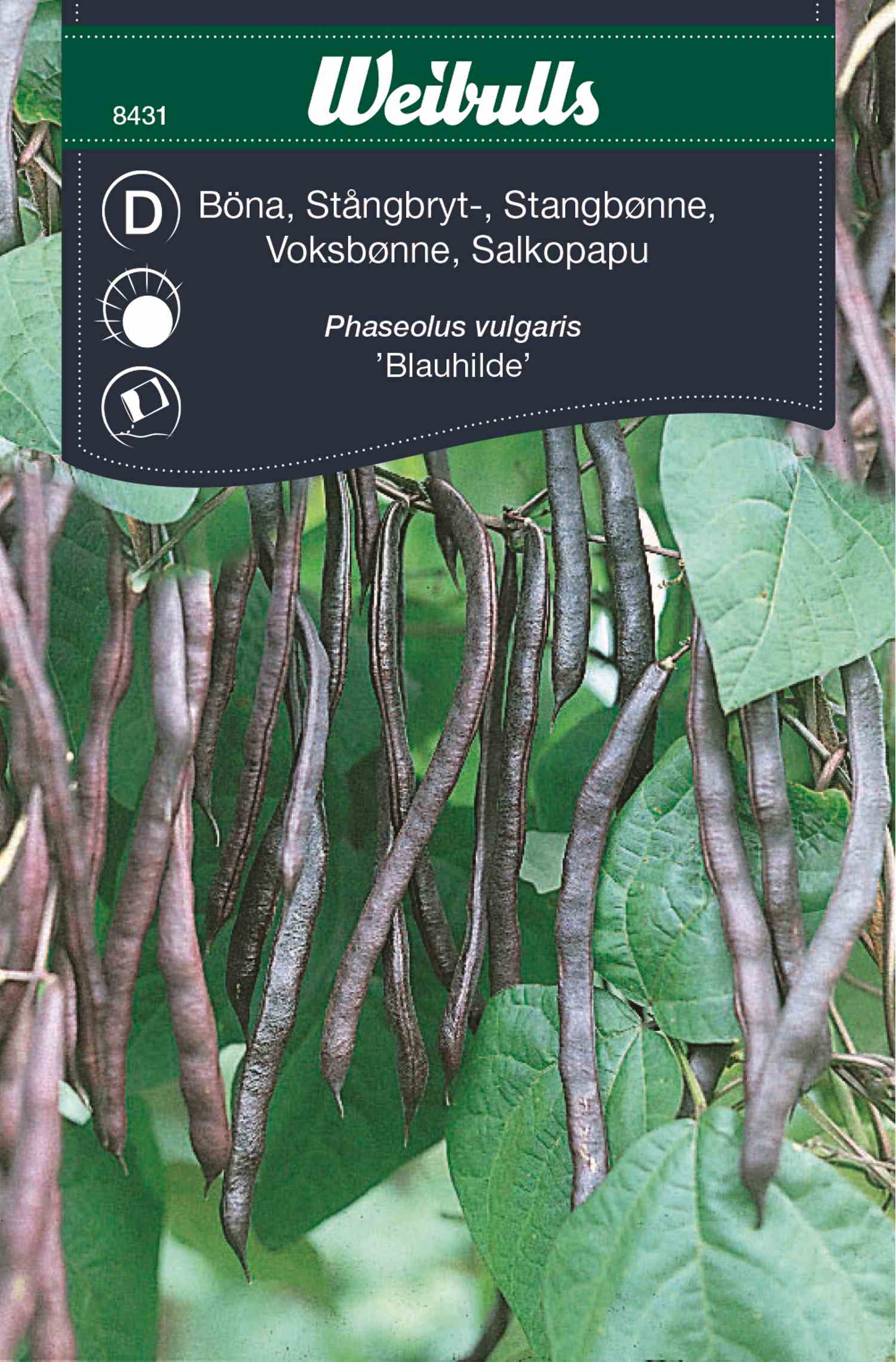 Die Knochen, Die Gebrochenen Knochen 8431 in der Gruppe  bei GPLSHOP (8431)