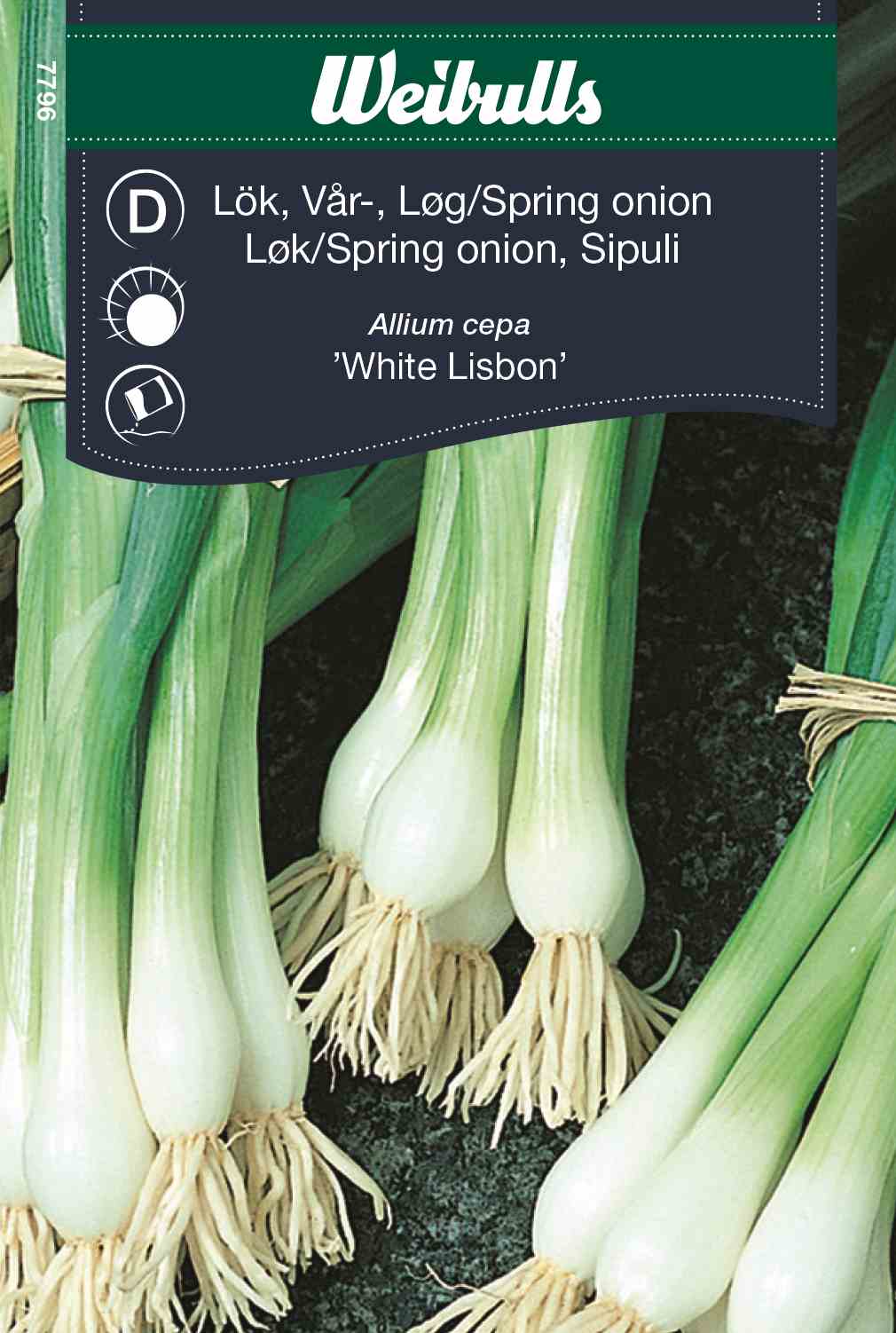 Onions, leeks, summer Bulga in der Gruppe  bei GPLSHOP (7814)