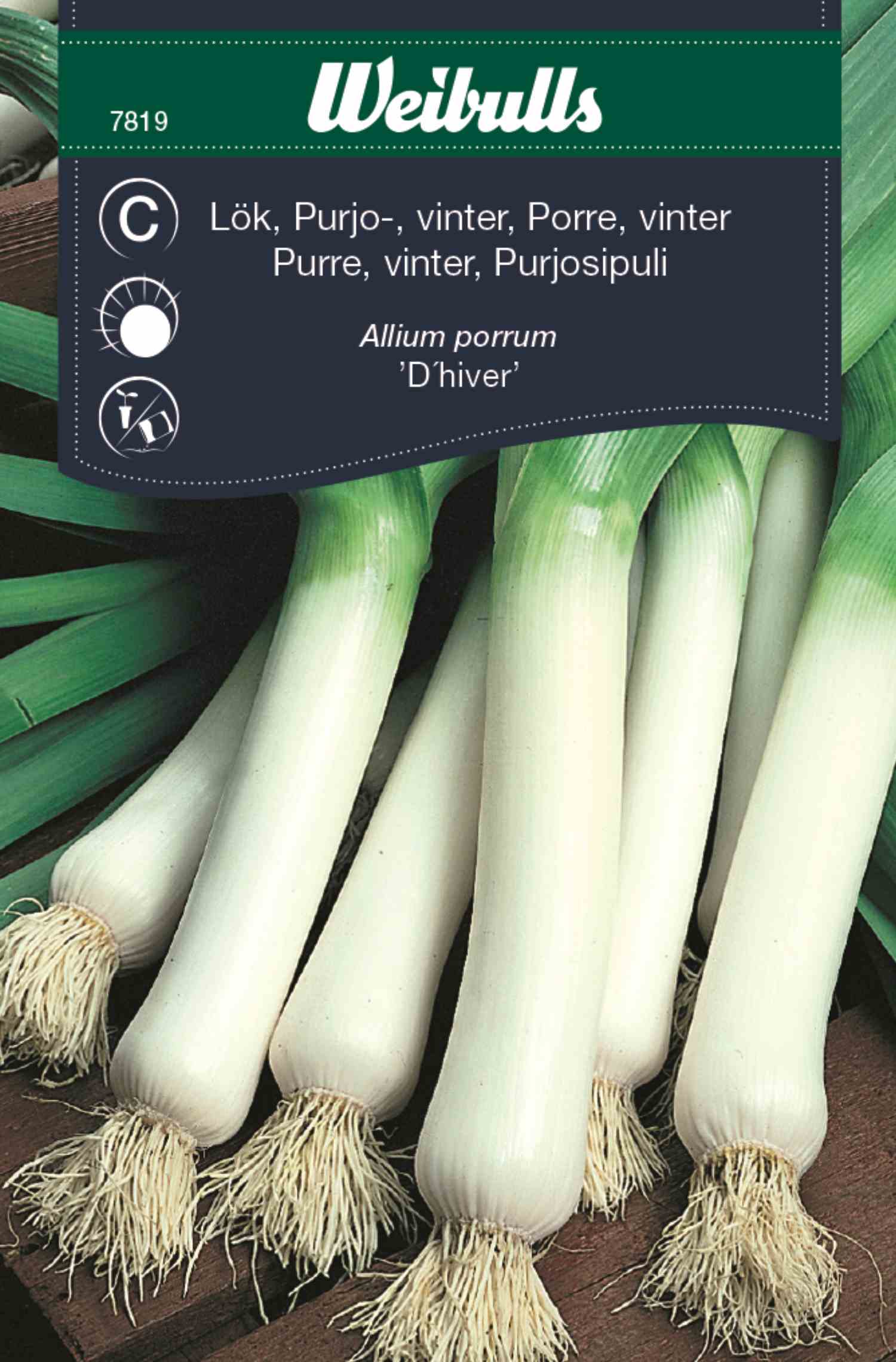 Onions, leeks, winter in the group  at Motorsågsbutiken (7819)