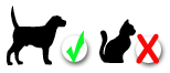 OK för hund olämplig för katt