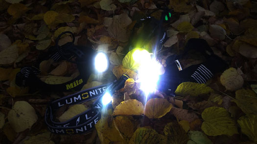 Pannlampsbild