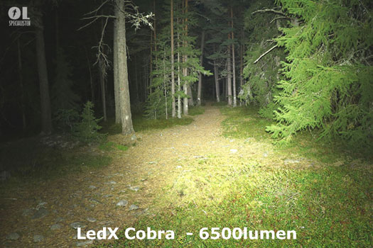 Pannlampa LEDx Cobra