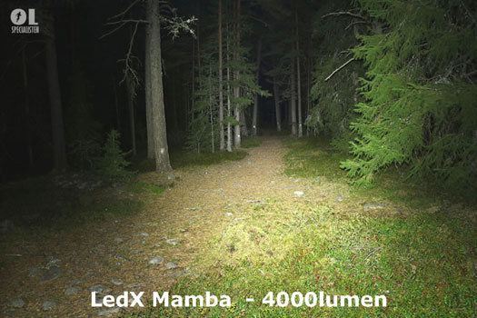 Pannlampa LEDx Mamba