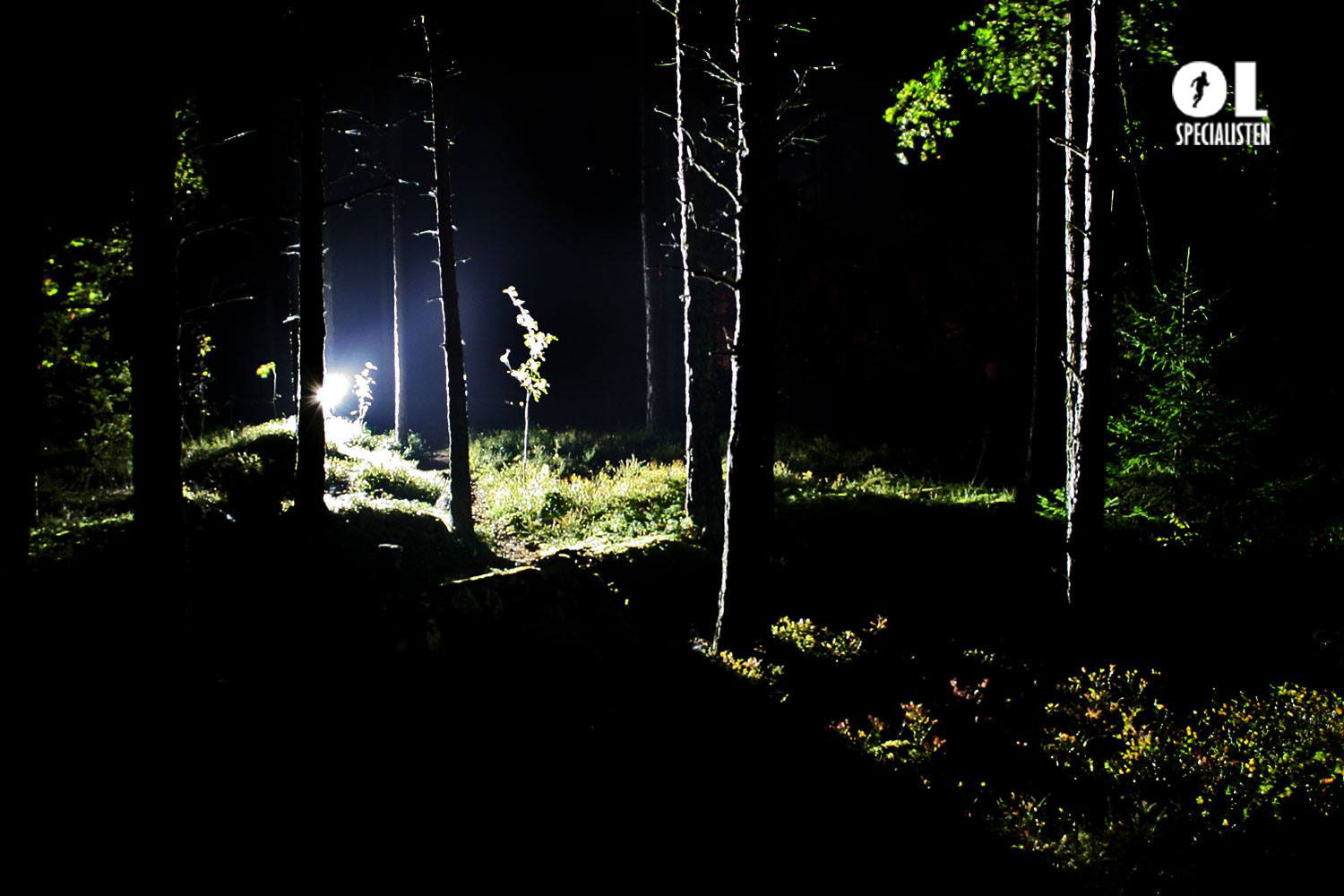 Pannlampstest 26 november 2020