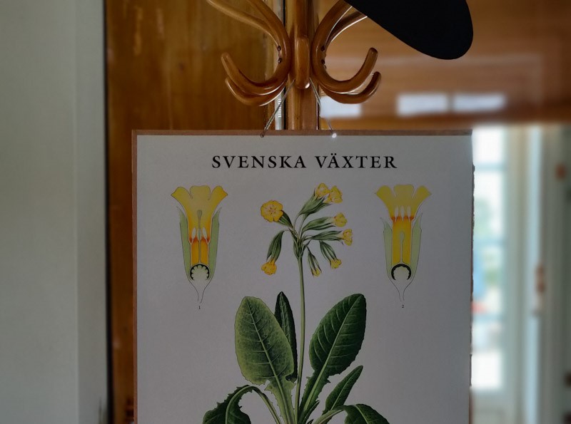 Skolplanscher!  