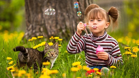 Flicka som blåser bubblor tillsammans med sin katt. Bilden leder till SmartCat Webshop och illustrerar en sida om att bli sponsrad av SmartCat. Vi söker projekt att sponsra