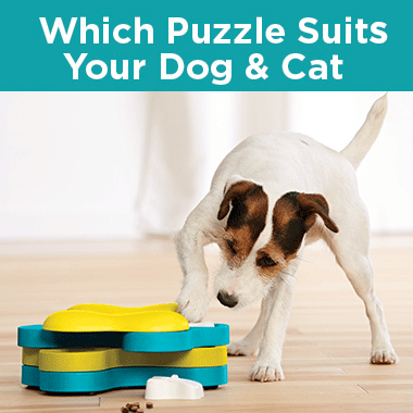  Welches Puzzle passt am besten zu meinem Hund und  Katze? 