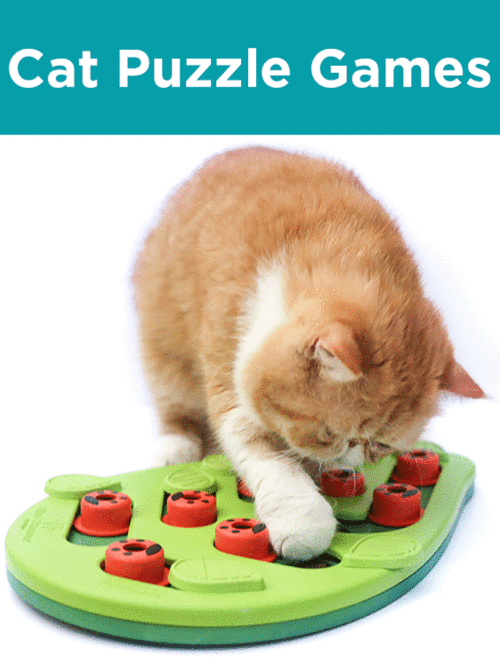  Gato Puzzle Games Juguetes 
