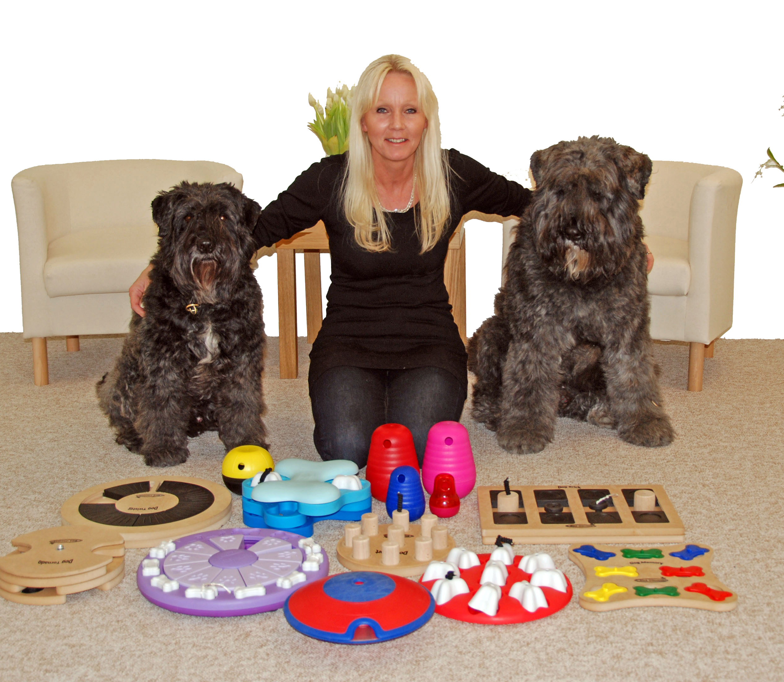 Nina Ottosson Twister Dog Toy Interactive Game for sale online