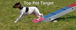 Electroninc target for Agility running contact training 