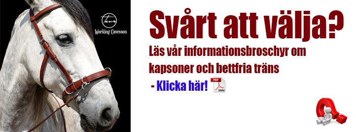 Information om bettfria system hos Taur