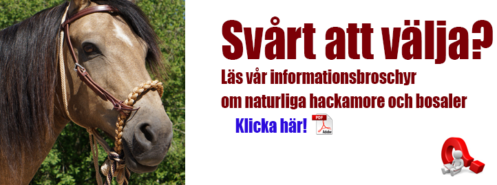 Information om bettfria system hos Taur