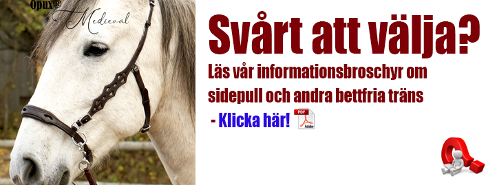 Information om bettfria system hos Taur