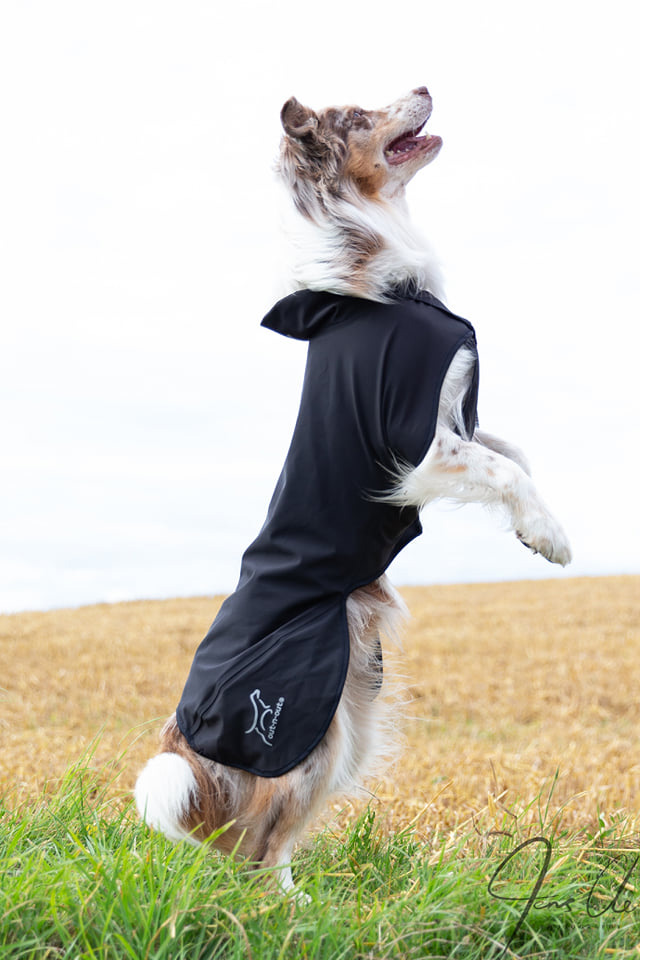 Rainjacket for dogs