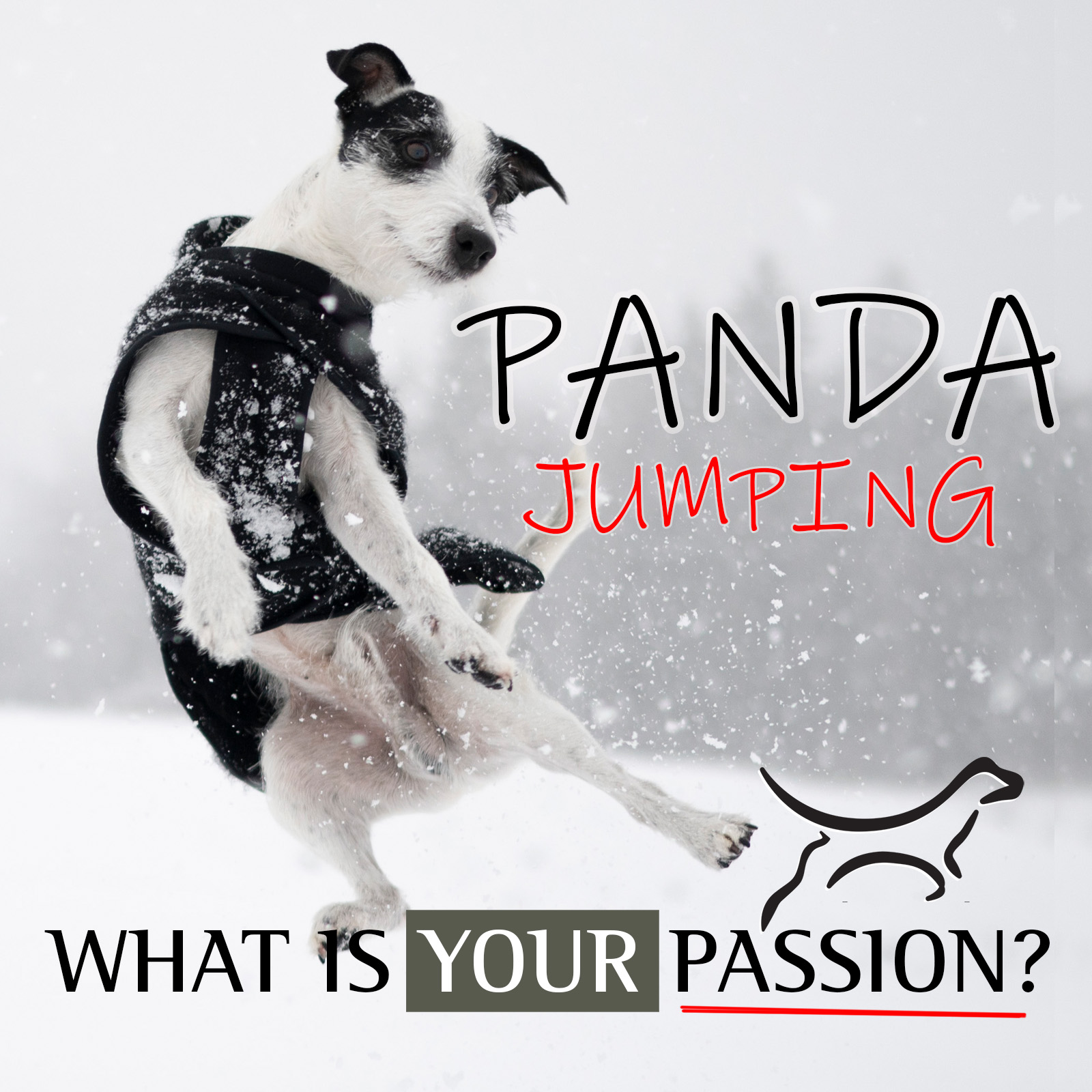 Dog jumping