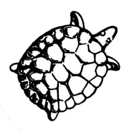 Bertil Vallien Boda Zoo Kosta Boda Sköldpadda (Turtle)