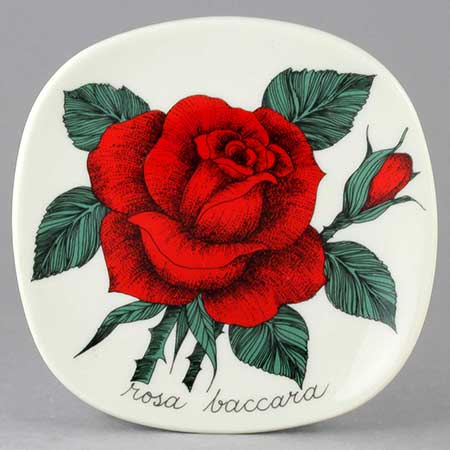 Esteri Tomula Arabia Botanica Rosa Baccara (Dark red rose), 1981
