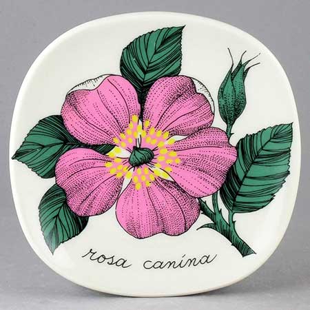 Esteri Tomula Arabia Botanica Rosa canina (Pink rose), 1982