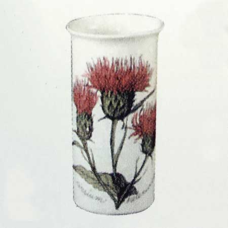 Esteri Tomula Arabia Botanica Cirsium helenoides (Melancholy thistle), 1986