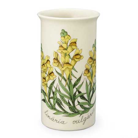 Esteri Tomula Arabia Botanica Linaria vulgaris (Common toadflax), 1983