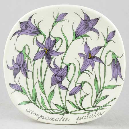 Esteri Tomula Arabia Botanica Campanula patula (Spreading bellflower), 1984–1985
