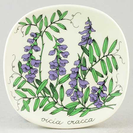 Esteri Tomula Arabia Botanica Vicia cracca (Tufted vetch), 1984–1985