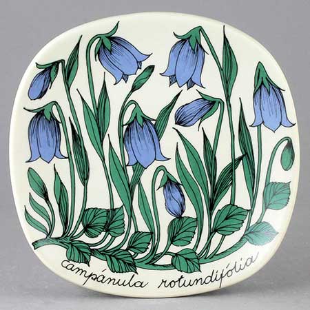 Esteri Tomula Arabia Botanica Campanula rotundifolia (Scottish bluebell), 1980–1981