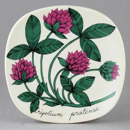 ① Arabia Botanica スズラン】 An Overview of Esteri Tomula