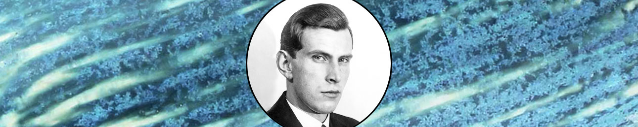 Gunnar Nylund Rörstrand Alpina