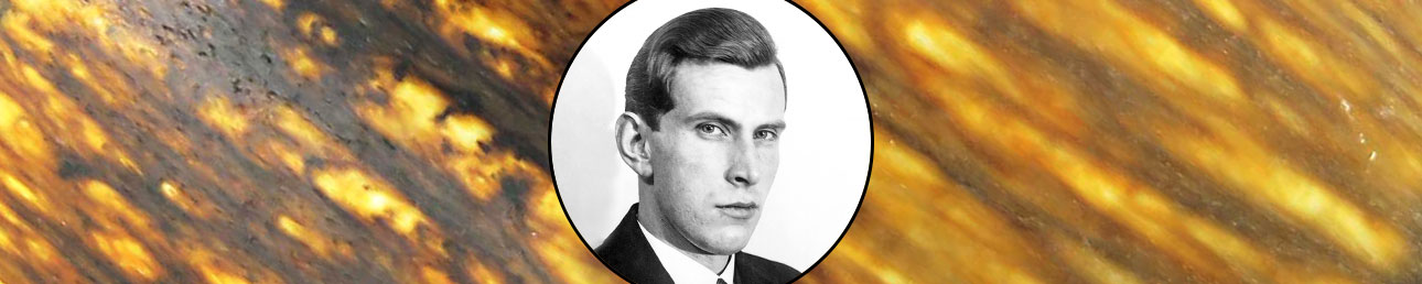 Gunnar Nylund Rörstrand Birka
