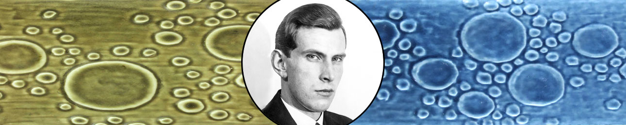 Gunnar Nylund Rörstrand Eternell