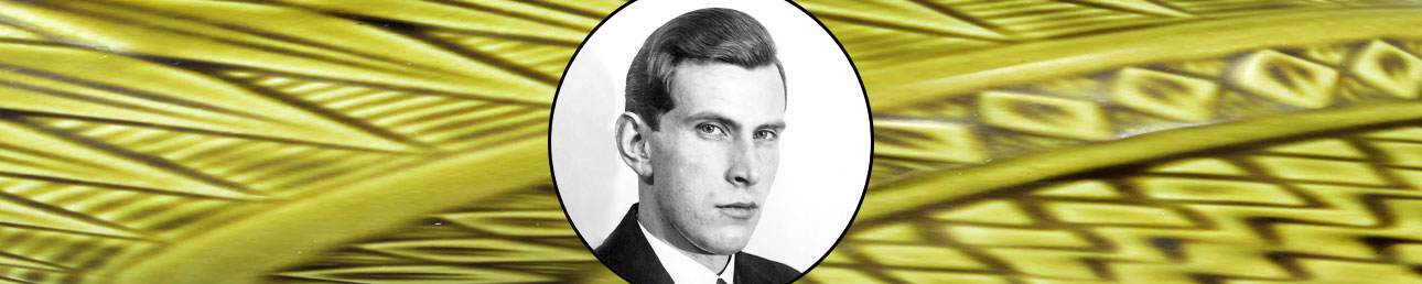 Gunnar Nylund Rörstrand Oliv
