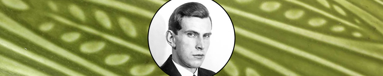 Gunnar Nylund Rörstrand Rialto