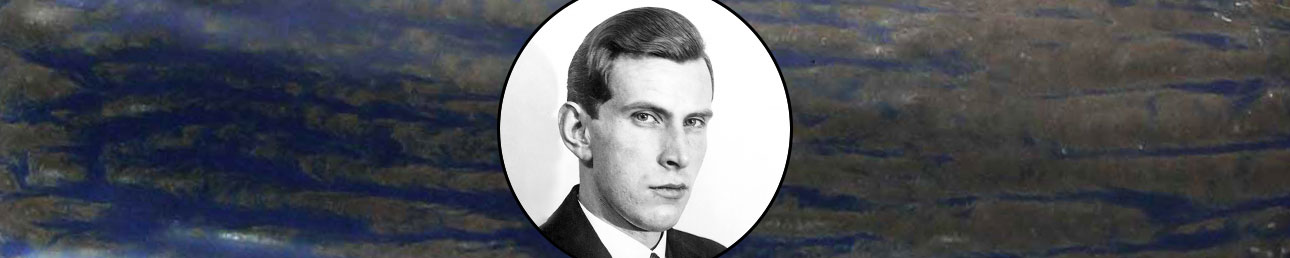 Gunnar Nylund Rörstrand Rubus