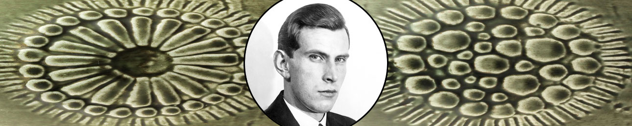 Gunnar Nylund Rörstrand Zenit
