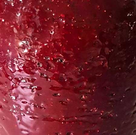 Ingrid Atterbergs Progresso Unicolored red version