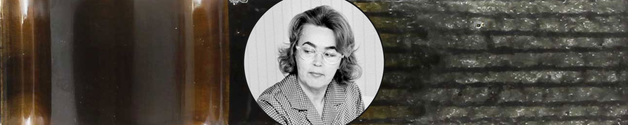 Mari Simmulson Upsala Ekeby Moské