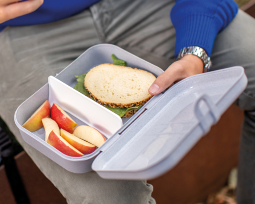 LUNCH BOXES FOOD ON-THE-GO 
