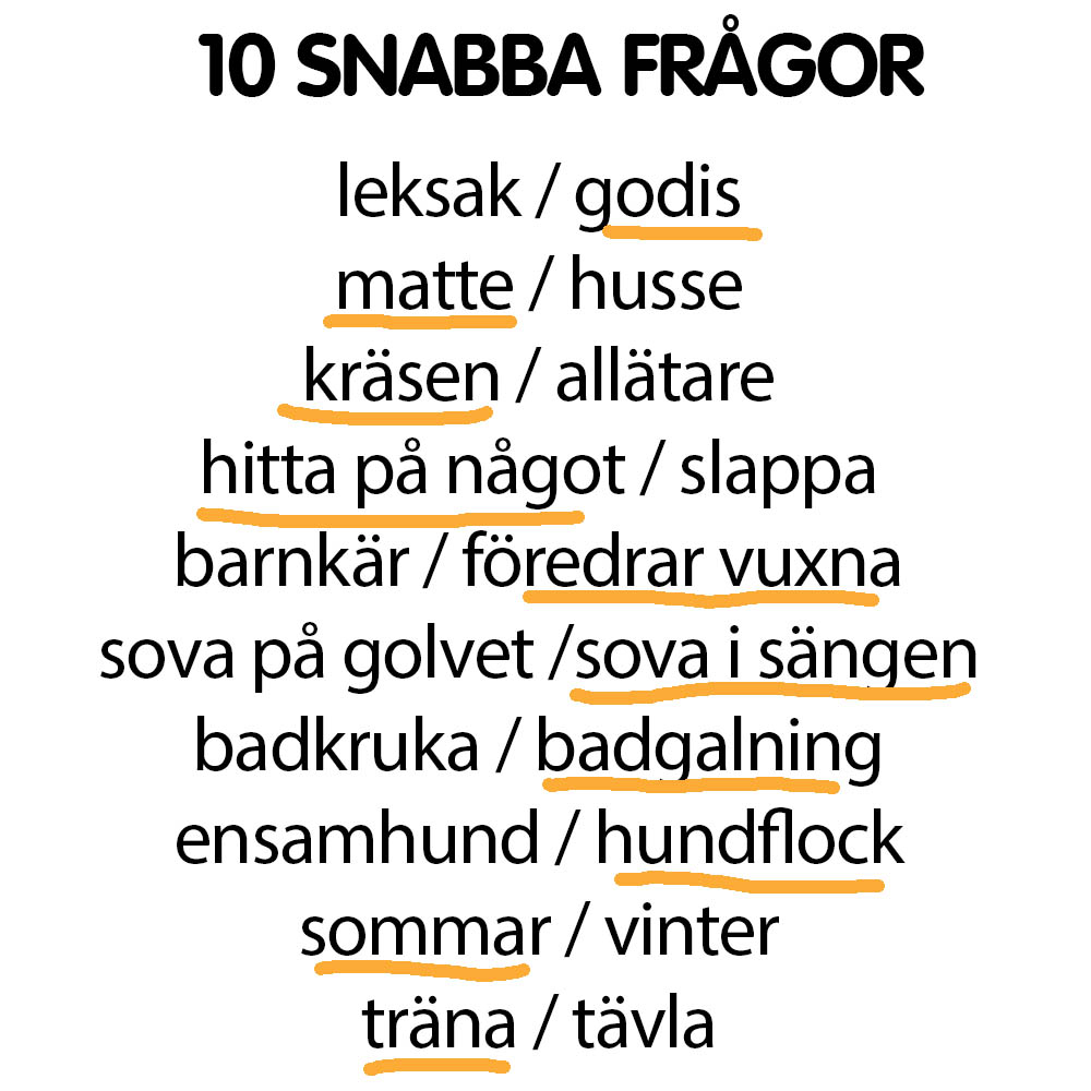 Snabba frågor Nicke