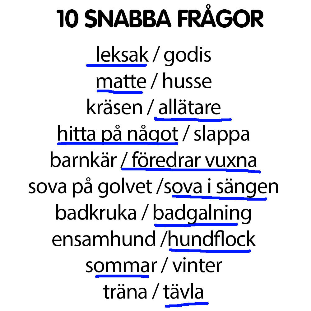Vad gillar kelpien Lilja