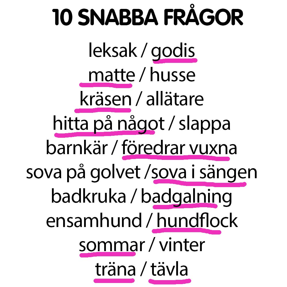 Snabba frågor Frank