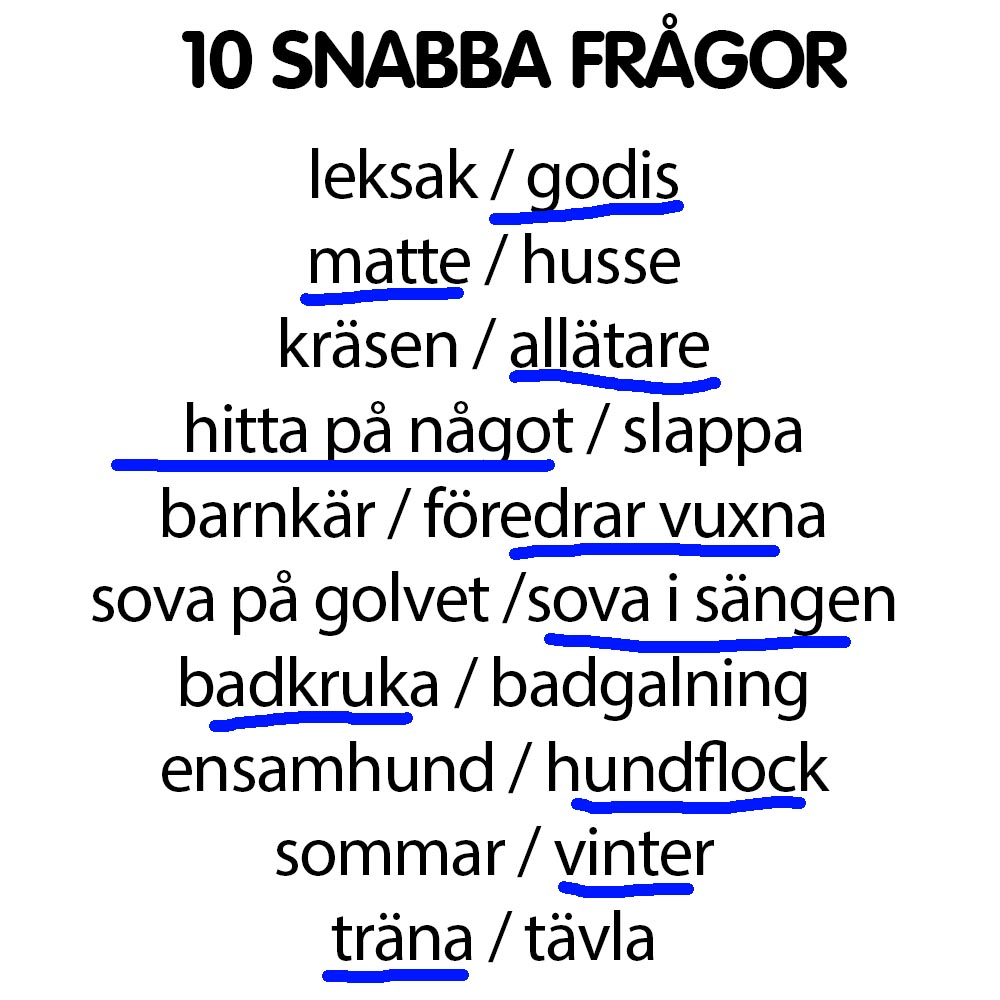 Snabba frågor Franz