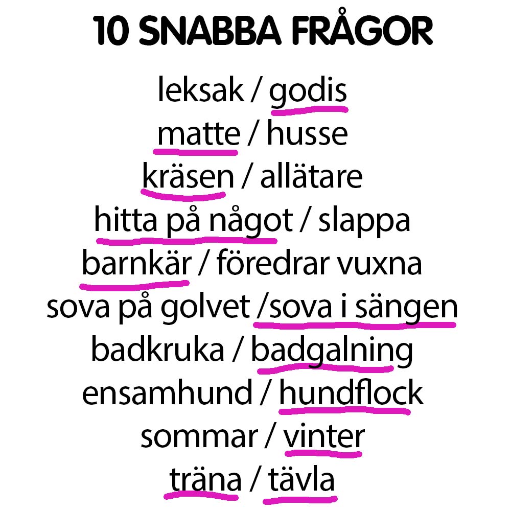 Snabba frågor Lilleman
