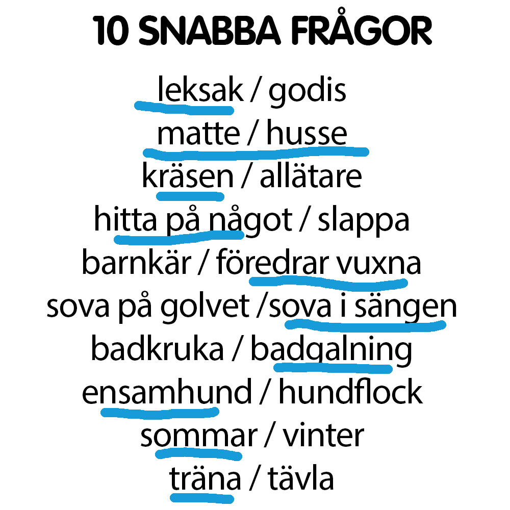 Snabba frågor Jonas