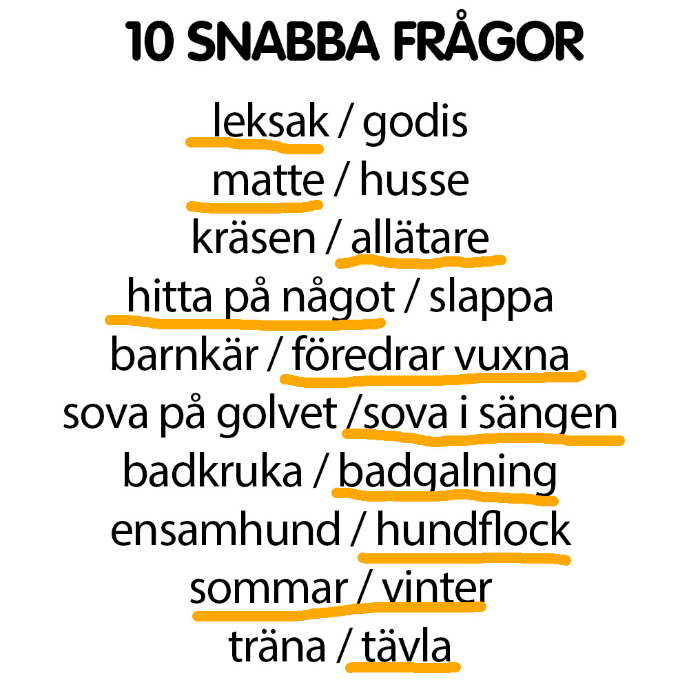 Snabba frågor Yamel